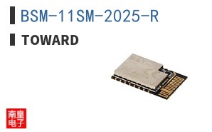 BSM-11SM-2025-R