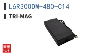 L6R300DM-480-C14