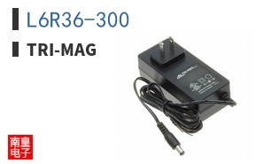 L6R36-300