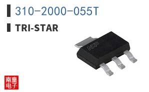 310-2000-055T