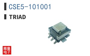 CSE5-101001