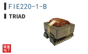 FIE220-1-B