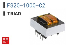 FS20-1000-C2