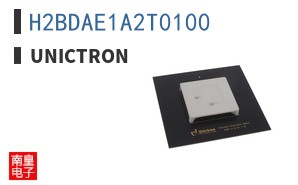 H2BDAE1A2T0100