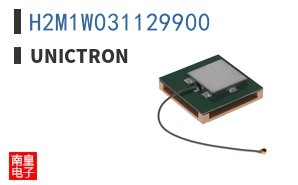 H2M1W031129900