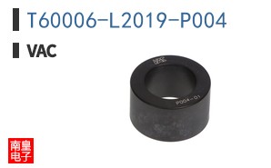 T60006-L2019-P004