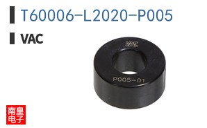 T60006-L2020-P005