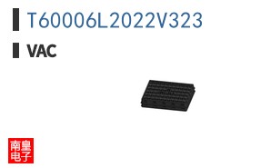 T60006L2022V323