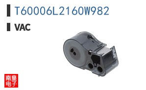 T60006L2160W982