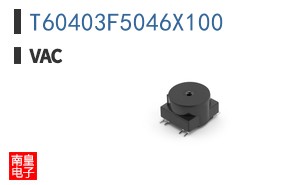 T60403F5046X100