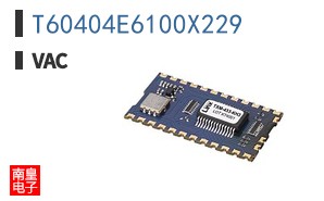 T60404E6100X229
