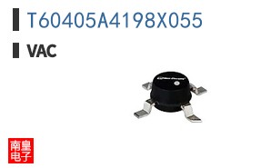 T60405A4198X055