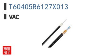 T60405R6127X013