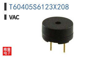 T60405S6123X208