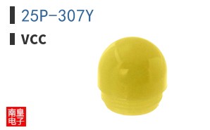 25P-307Y