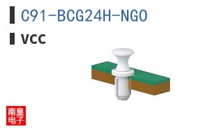 C91-BCG24H-NGO