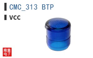 CMC_313_BTP