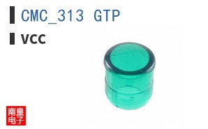 CMC_313_GTP