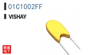 01C1002FF