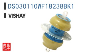 DS030110WF18238BK1