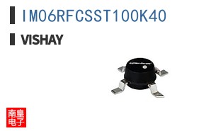 IM06RFCSST100K40