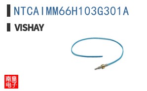 NTCAIMM66H103G301A