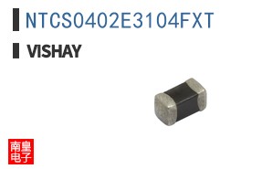 NTCS0402E3104FXT