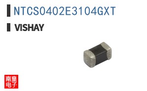NTCS0402E3104GXT