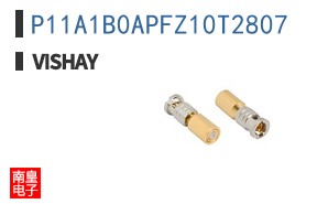 P11A1B0APFZ10T2807