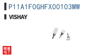 P11A1F0GHFX00103MW