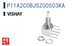 P11A2C0BJSZ00503KA