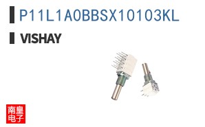 P11L1A0BBSX10103KL