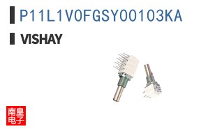P11L1V0FGSY00103KA
