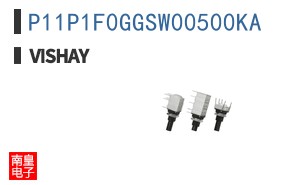 P11P1F0GGSW00500KA