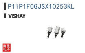 P11P1F0GJSX10253KL