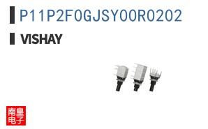 P11P2F0GJSY00R0202