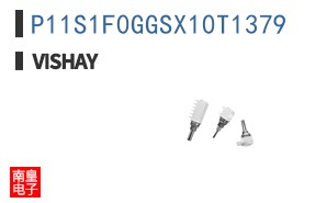 P11S1F0GGSX10T1379