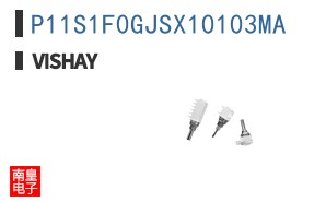 P11S1F0GJSX10103MA
