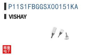 P11S1FBGGSX00151KA