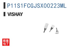 P11S1FCGJSX00223ML