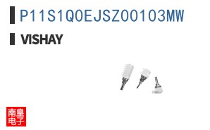 P11S1Q0EJSZ00103MW