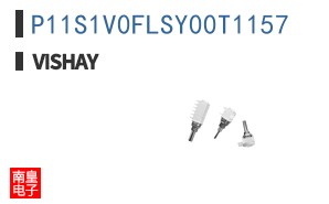 P11S1V0FLSY00T1157
