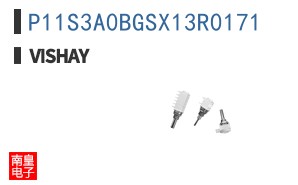 P11S3A0BGSX13R0171
