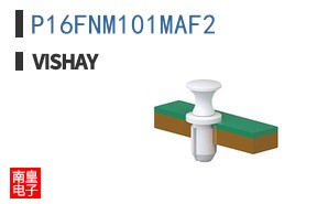 P16FNM101MAF2