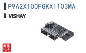 P9A2X100FGKX1103MA
