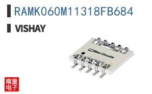 RAMK060M11318FB684