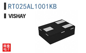 RT025AL1001KB