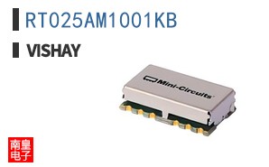 RT025AM1001KB