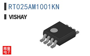 RT025AM1001KN