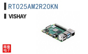 RT025AM2R20KN